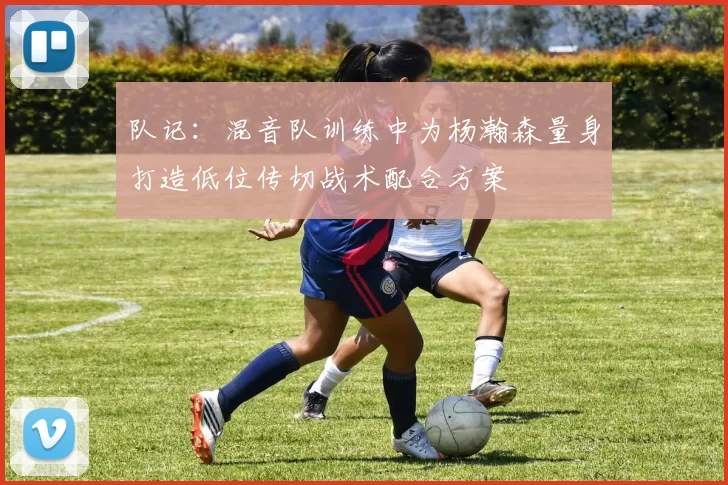 队记：混音队训练中为杨瀚森量身打造低位传切战术配合方案