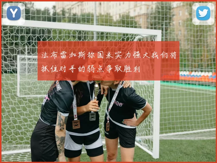 法布雷加斯称国米实力强大我们将抓住对手的弱点争取胜利